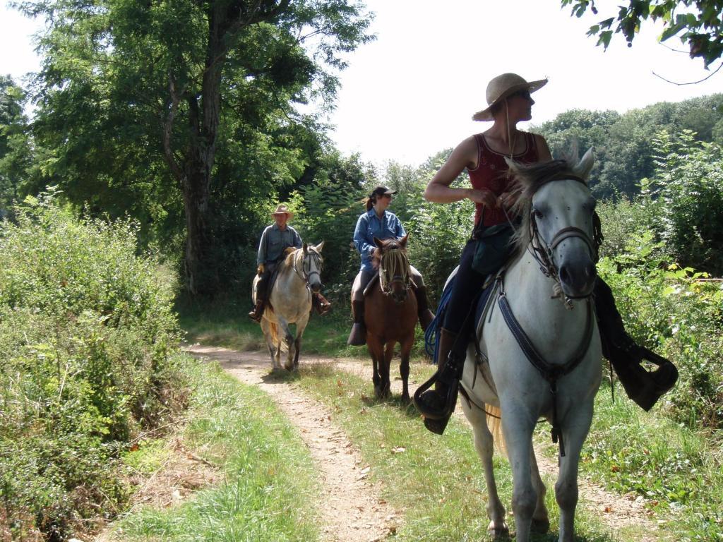 Le Trot'In Chair Martigny-le-Comte Exterior foto